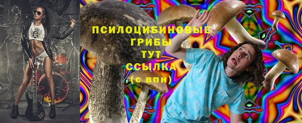 mdma Кукмор