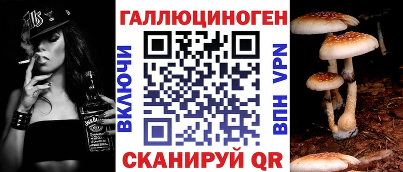 Галлюциногенные грибы Cubensis Купить Арамиль